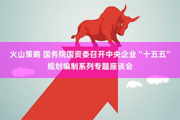 火山策略 国务院国资委召开中央企业“十五五”规划编制系列专题座谈会